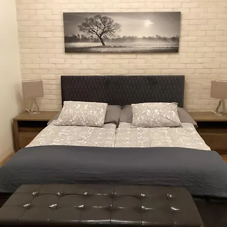 Apartman Rustic